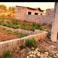 زمین-باسندتکبرگ-و-پروانه-ساخت