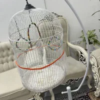 قفس ایستاده