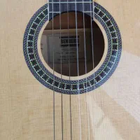 گیتار کلاسیک بنبرگ|گیتار، بیس، امپلیفایر|لشت نشا, |دیوار