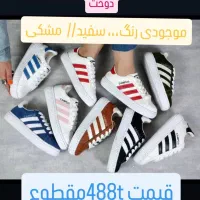 کفش|کیف، کفش، کمربند|آبدانان, |دیوار