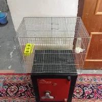 ۳ تا قفس خورموج