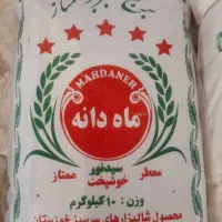 فروش برنج عنبربو ونیمدانه ماه دانه|عمده‌فروشی|دزفول, |دیوار