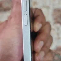 ایفون ۱۳|موبایل|کاشمر, |دیوار