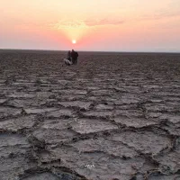 کویر گردی و خدمات افرود