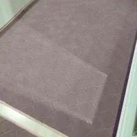 موکت بنفش|موکت|ارومیه, |دیوار