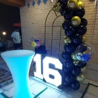 تشریفات سالن باغ دیجی و بادکنک آرایی|خدمات پذیرایی، مراسم|کرمان, |دیوار