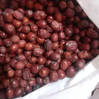 فوری|کالسکه و لوازم جانبی|بیرجند, |دیوار