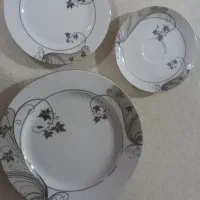 چینی سالم|ظروف سرو و پذیرایی|همدان, |دیوار