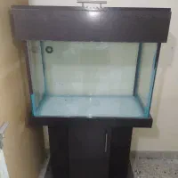 آکواریوم به همراه تمامی وسائل.