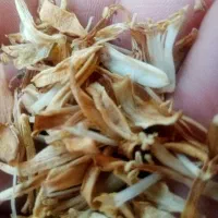 بهار نارج خشک و تمیز