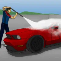 نیازمند شوینده برای کارواش