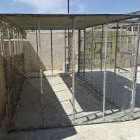 قفس کبوتر