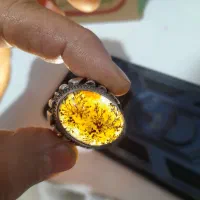 شجر|جواهرات|کرج, حصارک پایین|دیوار