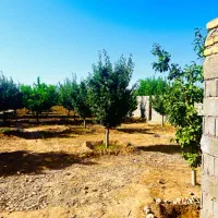 باغ1200متر درختان جنگی آب برق سند شاهنامه گوارشک|فروش زمین و ملک کلنگی|مشهد, توس فردوسی|دیوار