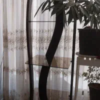 ویترین و ساعت ایستاده|ساعت دیواری و تزئینی|اصفهان, تیران|دیوار