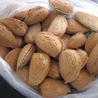 انجیر بش و بادام درجه یک نیمه کاغذی|خوردنی و آشامیدنی|شیراز, شهرک مخابرات|دیوار