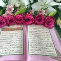 گل محمدی