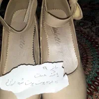 کفش مجلسی ودمپایی راحتی|کیف، کفش، کمربند|تهران, هفده شهریور|دیوار