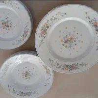 بشقاب غذاخوری آرکوپال اصل فرانسه