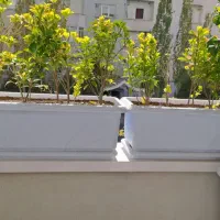 پردیس|فروش آپارتمان|پردیس, فاز ۳|دیوار