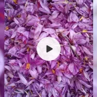 زعفران تربت ونیشابور امسال کاملاارگانیک ارسال دارم|خوردنی و آشامیدنی|شاهدشهر, |دیوار