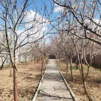 ویلا 500 متری با بنا دوبلکس و کنتور برق