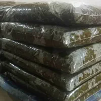 سبزی خورشتی تازه شوشتر کیلو 110