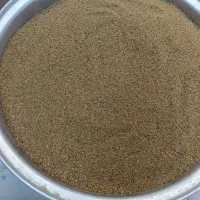 بذر یونجه پایه بلند رنجر آمریکایی