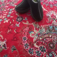 چند دست لباس مجلسی و چند جفت کفش وپوتین نو|کیف، کفش، کمربند|ارومیه, |دیوار