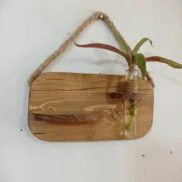 جا کلیدی و آویز چوبی