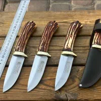 کلکسیونی|کلکسیون اشیاء عتیقه|شاهرود, |دیوار