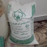 ارد گندم