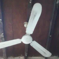 پنکه سقفی