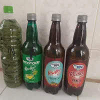 برگ مو مناسب