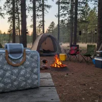 لانچ باکس|ظروف نگهدارنده، پلاستیکی، یک‌بارمصرف|آمل, |دیوار