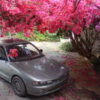 گالانت عینکی|خودرو سواری و وانت|پرند, فاز ۰|دیوار