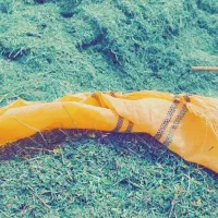 یونجه خرد شده