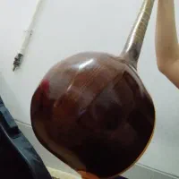 سه تار حرفه ای کاملا سالم و نو|سازهای سنتی|فلاورجان, |دیوار