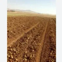 فروش ۳گونی ۱۰۰کیلویی ای زمین کشاورزی