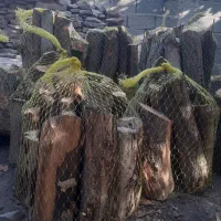 هیزم شومینه ای و آتیشی یانار|عمده‌فروشی|چهارباغ, |دیوار