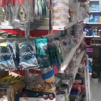 ظروف یکبار مصرف و پلاستیکی و بهداشتی|ظروف نگهدارنده، پلاستیکی، یک‌بارمصرف|بجنورد, |دیوار