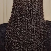 فر مو و احیای فر مو