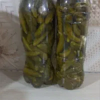 خیارشور همدان قلمی ریز|خوردنی و آشامیدنی|تهران, یافت آباد جنوبی|دیوار