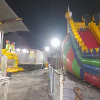 نیروی کار جوان مجرد