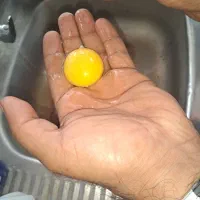 پخش و فروش عمده تخم مرغ|خوردنی و آشامیدنی|تهران, مینابی|دیوار