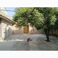 اجاره خونه برای خانما