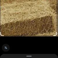 فروش کاه پرس گندم