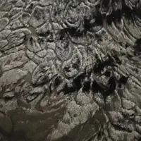 چادر رنگی|لباس|کوار, |دیوار