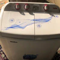 ماشین لباس شویی دوقلو