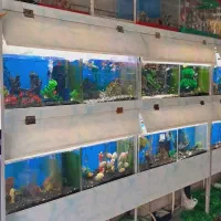 آکواریوم طول۳۰ سانت نو